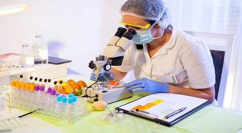 Food Science Student Internships