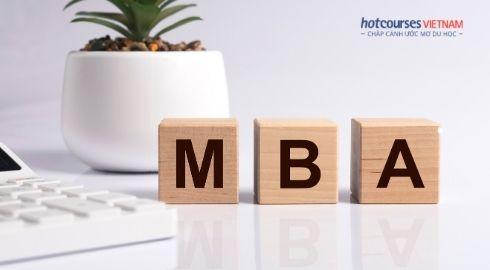 introducing mba