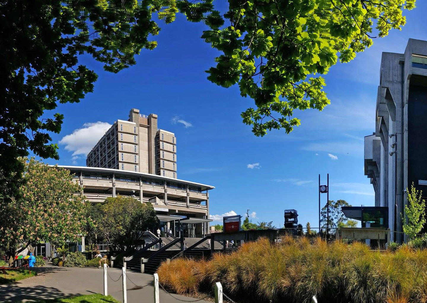University of Canterbury в Новой Зеландии